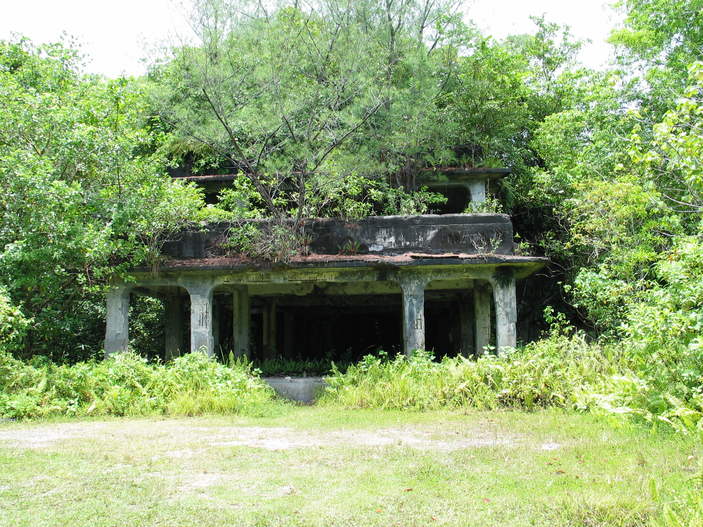 forested island in the pacific